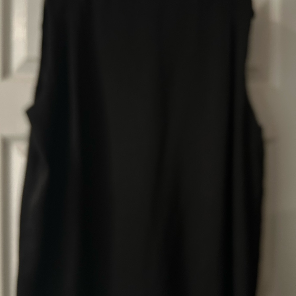 CAbi White and Blue Sleeveless Tank Top - Picture 3 of 3